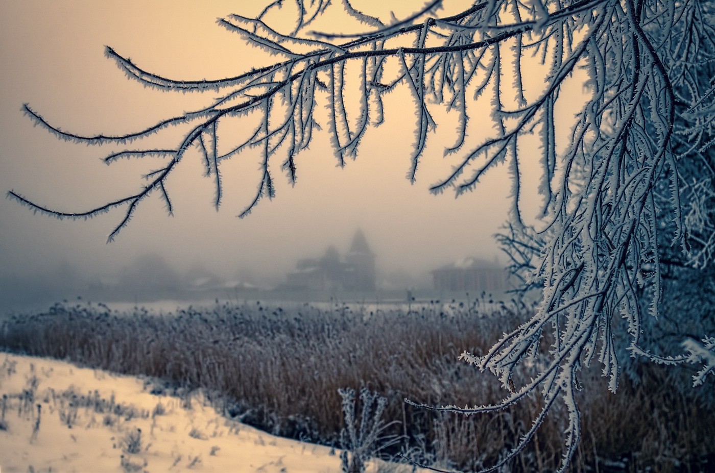 Foggy Weihnachtsmorgen