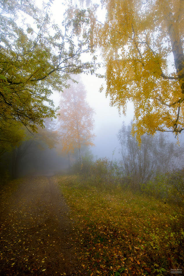 Die Dekoration der Herbstnebel