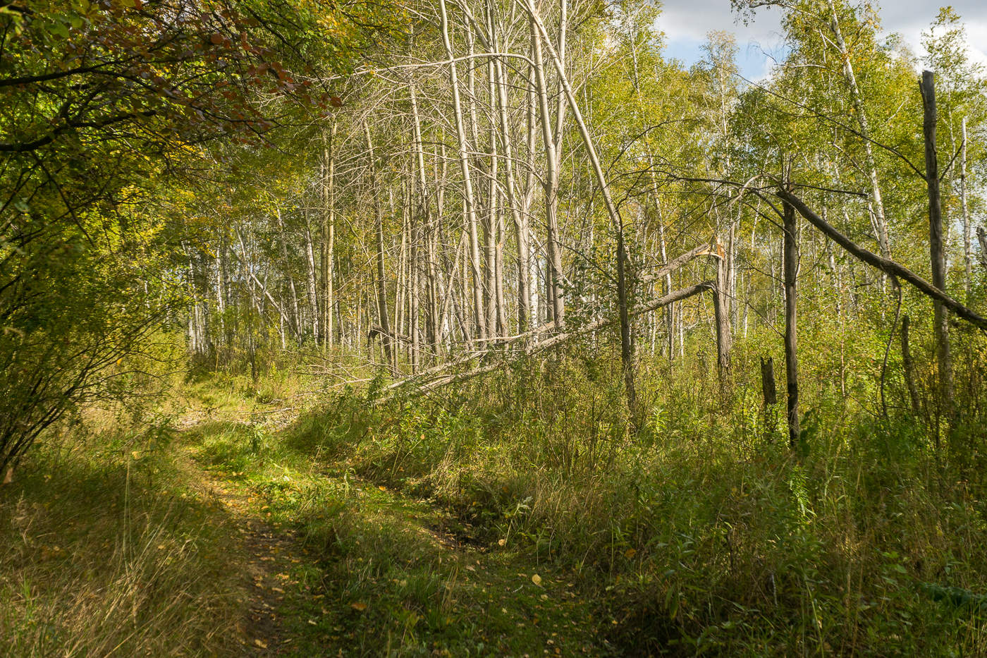 Die ersten Septembertagen