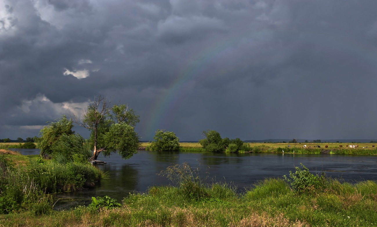 Gewitter über der Wiese ...