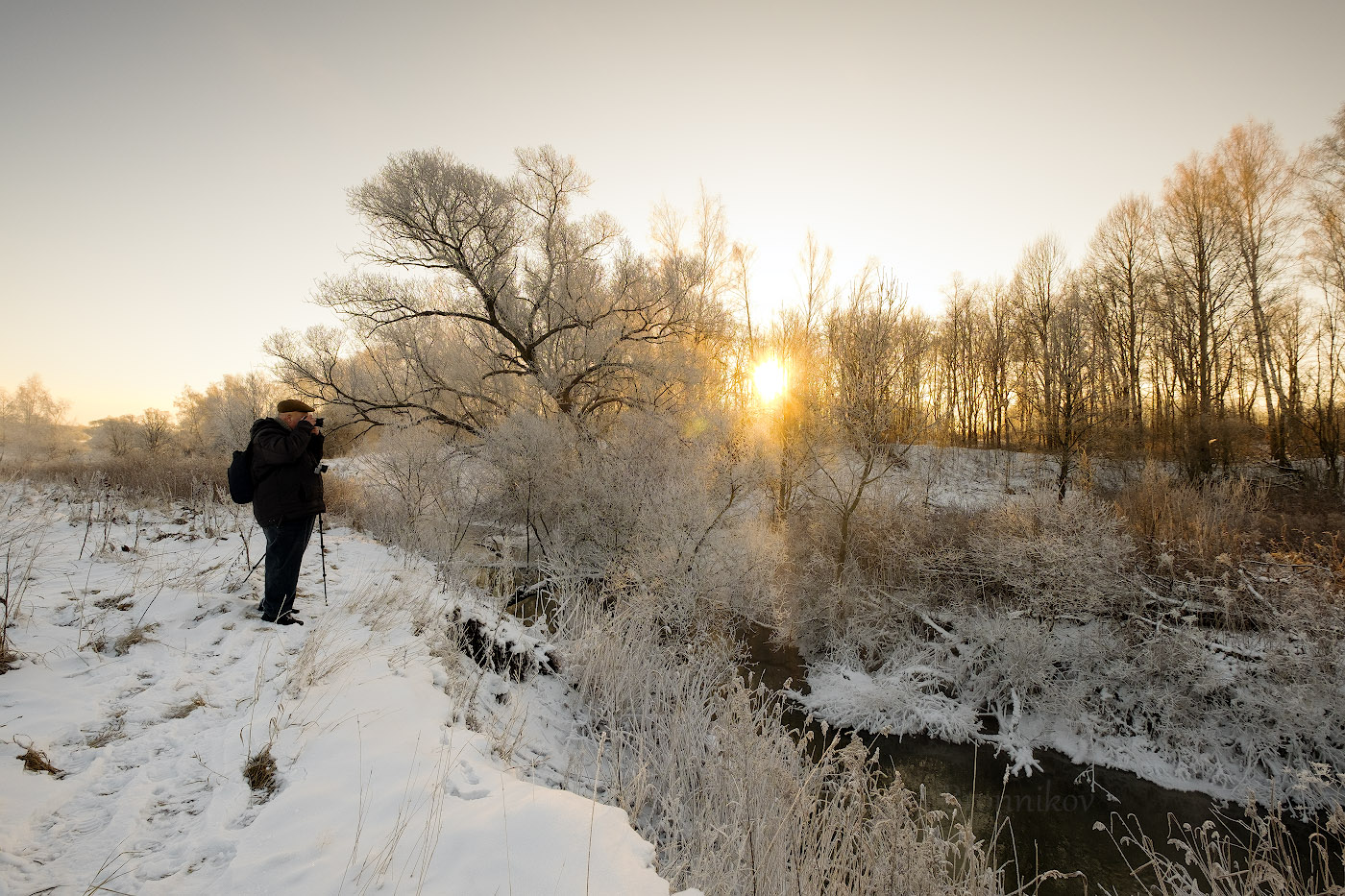 Morgendämmerung, Nebel, Frost ..