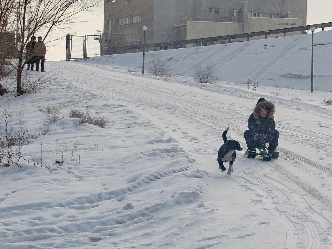 Das ist, was -, dass ein gorochki auf ...