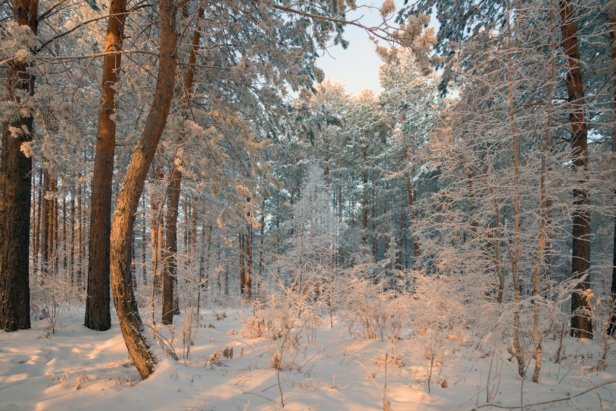 Über Zärtlichkeit Morgenstrahlen ....