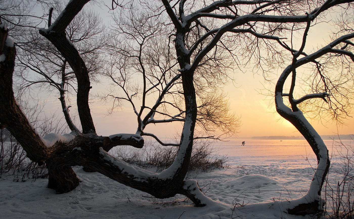 Um das Licht ... ...