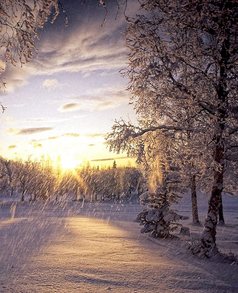 Sonnenuntergang im Winter