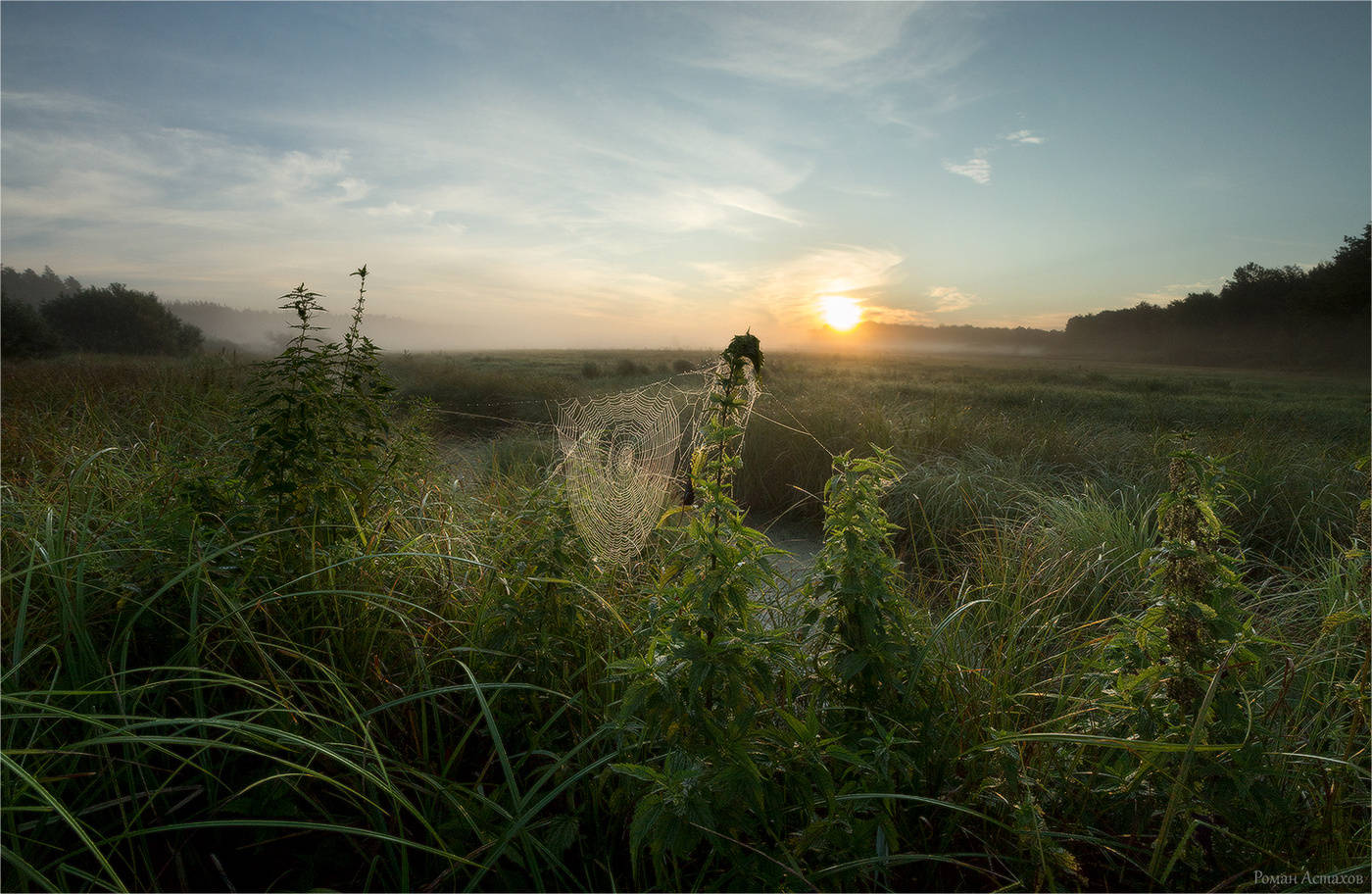 Reim des Morgenlichts