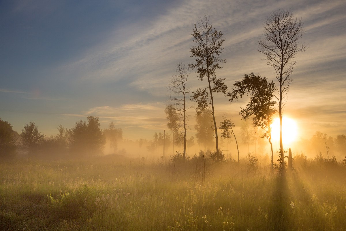 Reim des Morgenlichts