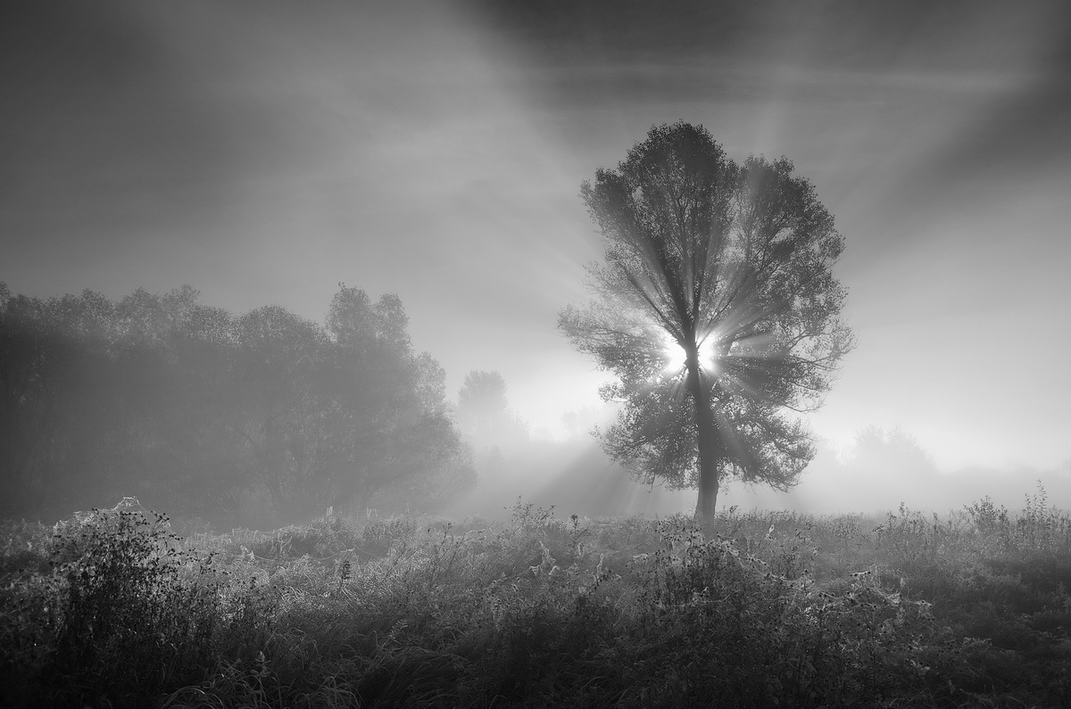 Reim des Morgenlichts