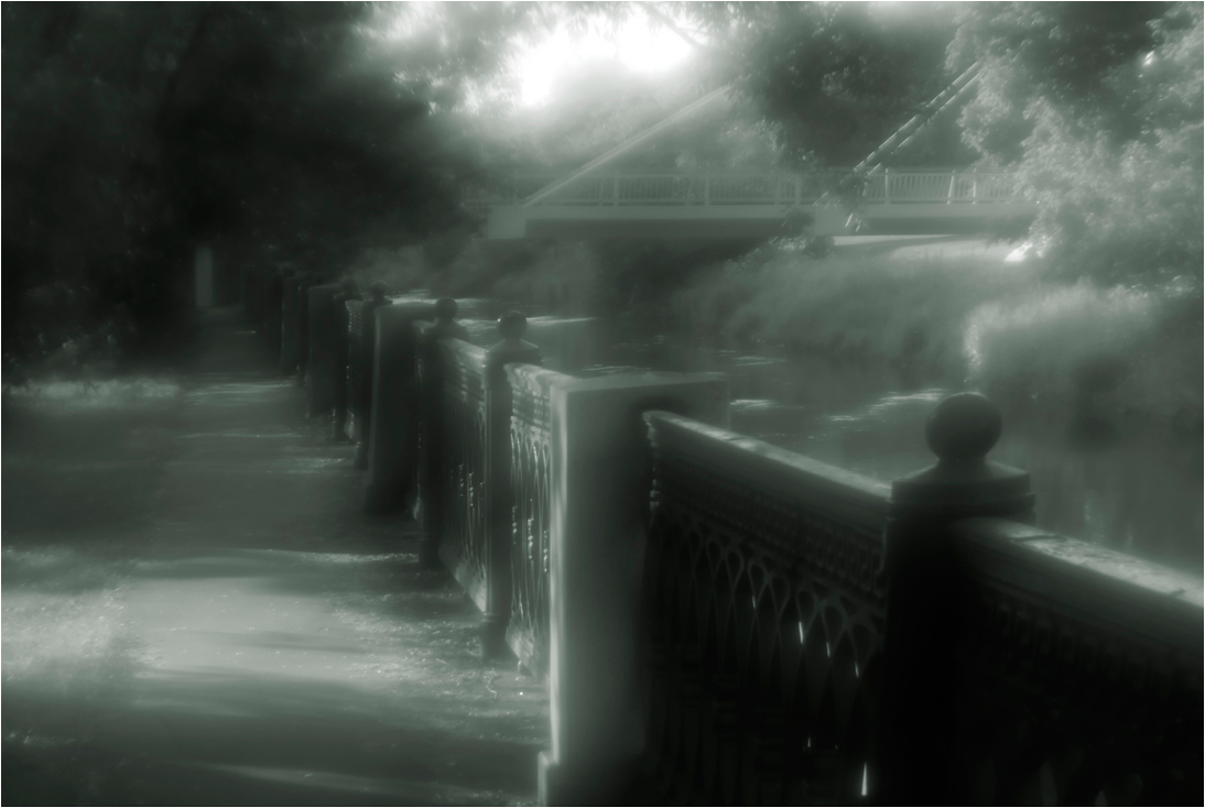 Reim des Morgenlichts