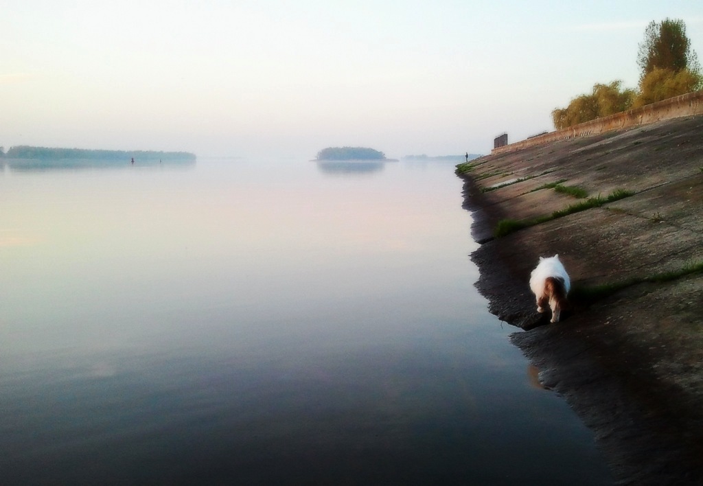 Reim des Morgenlichts