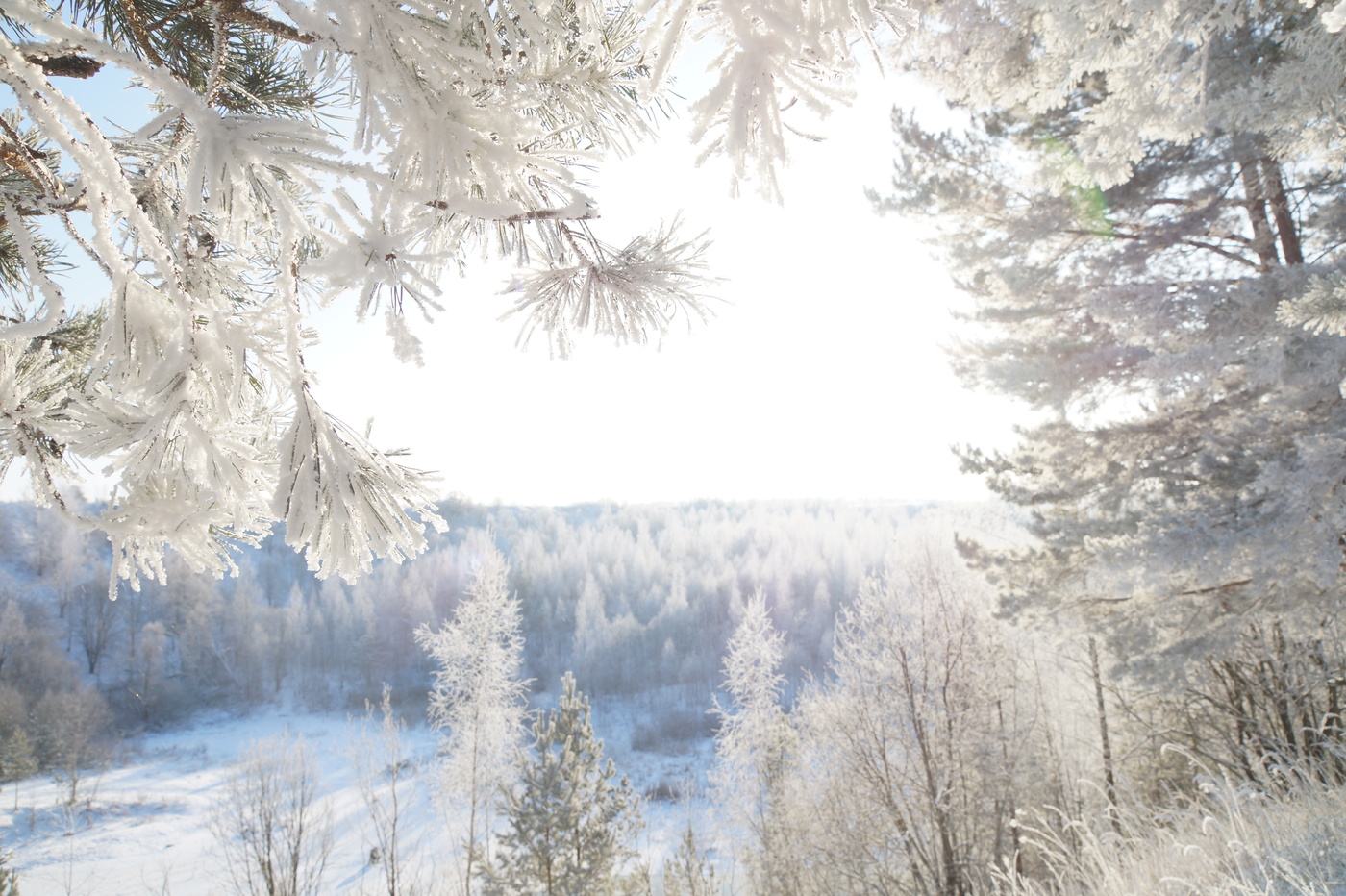 Reim des Morgenlichts