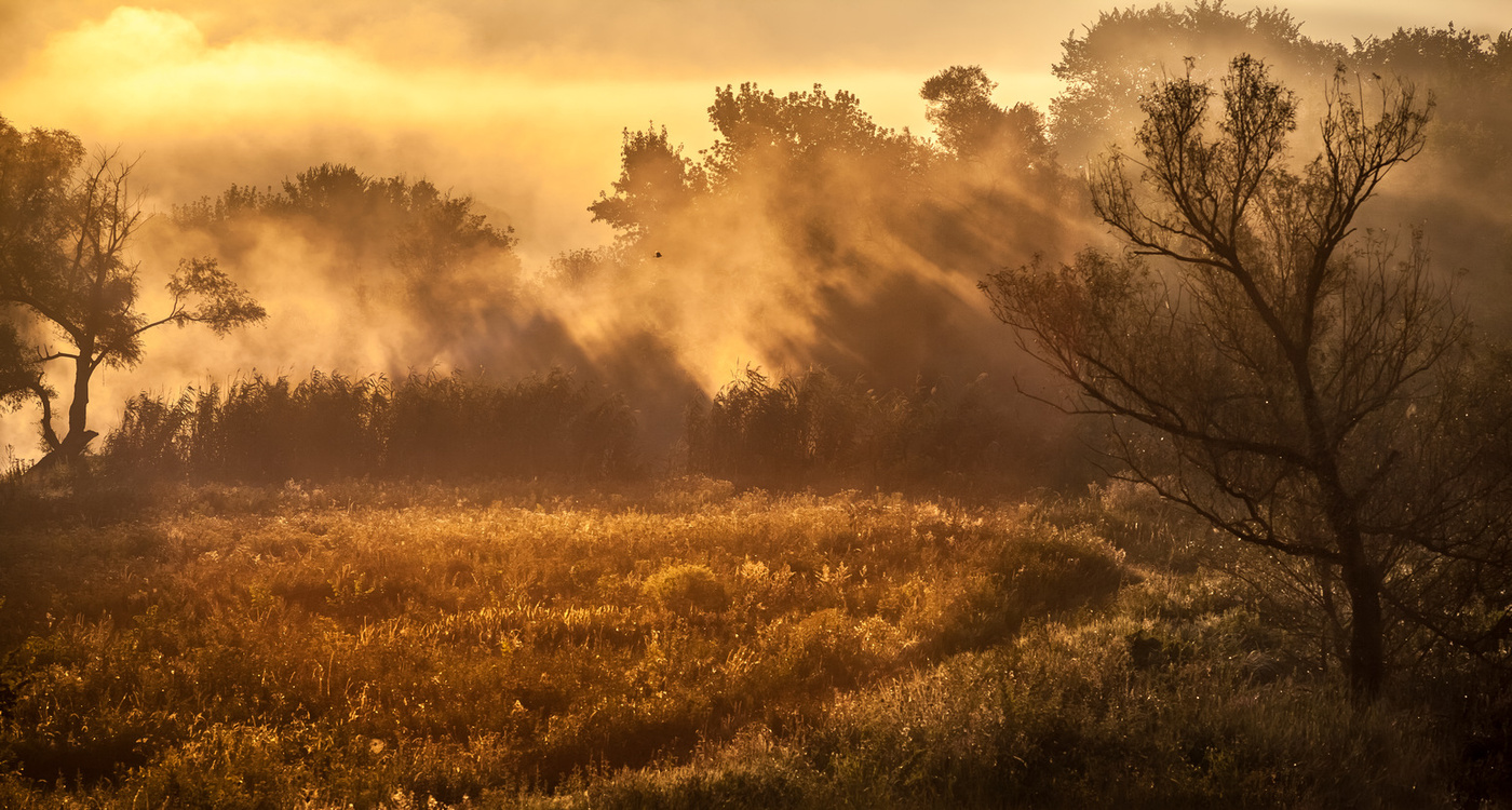 Reim des Morgenlichts
