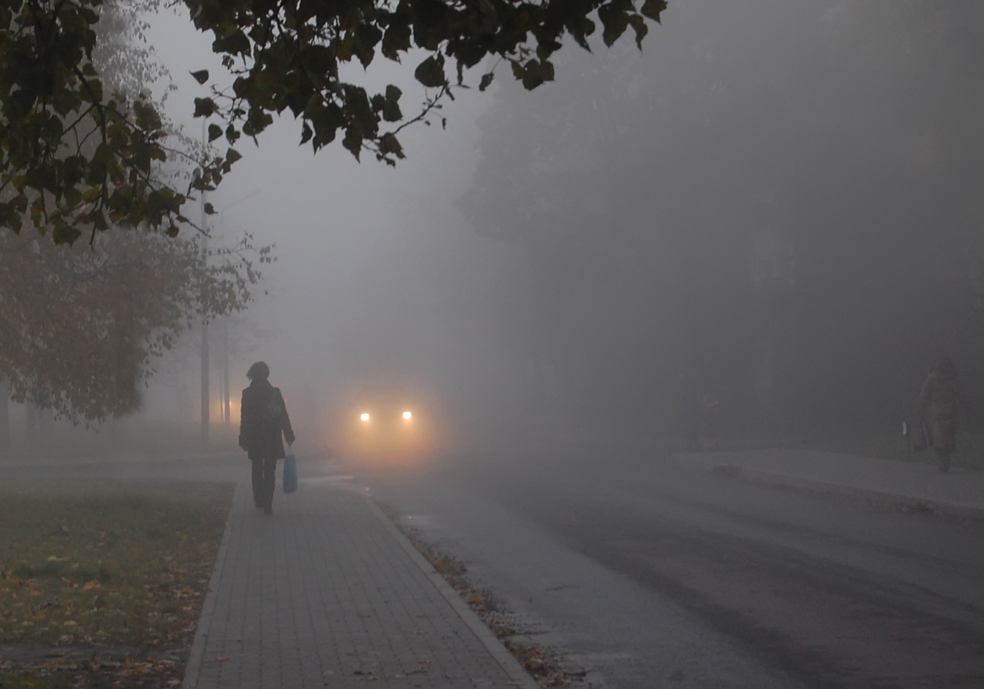 Reim des Morgenlichts