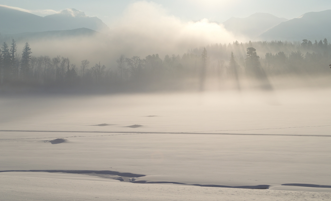 Reim des Morgenlichts