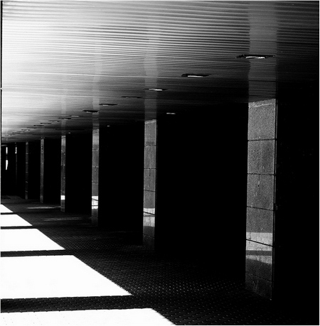 Reim des Morgenlichts