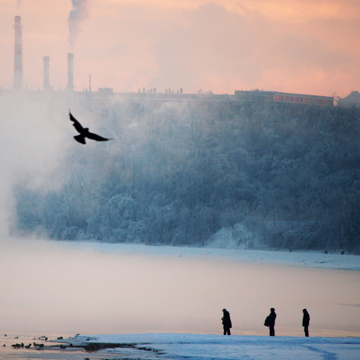 Reim des Morgenlichts