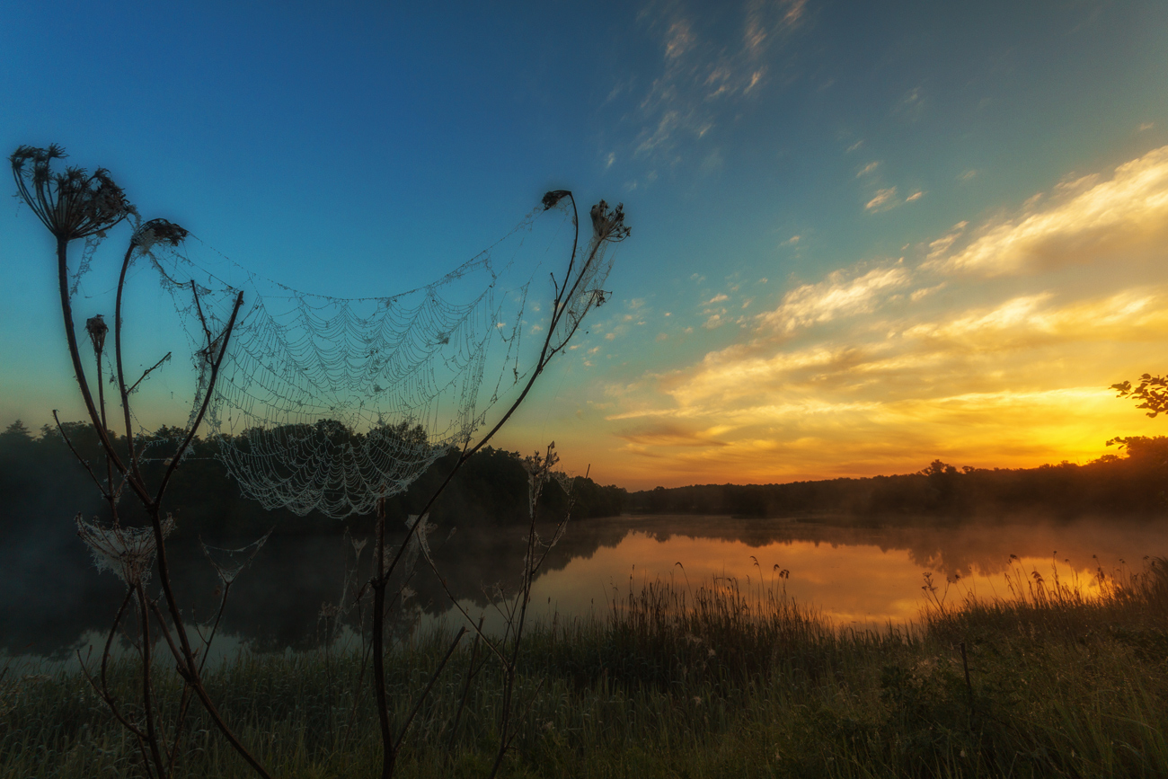 Reim des Morgenlichts