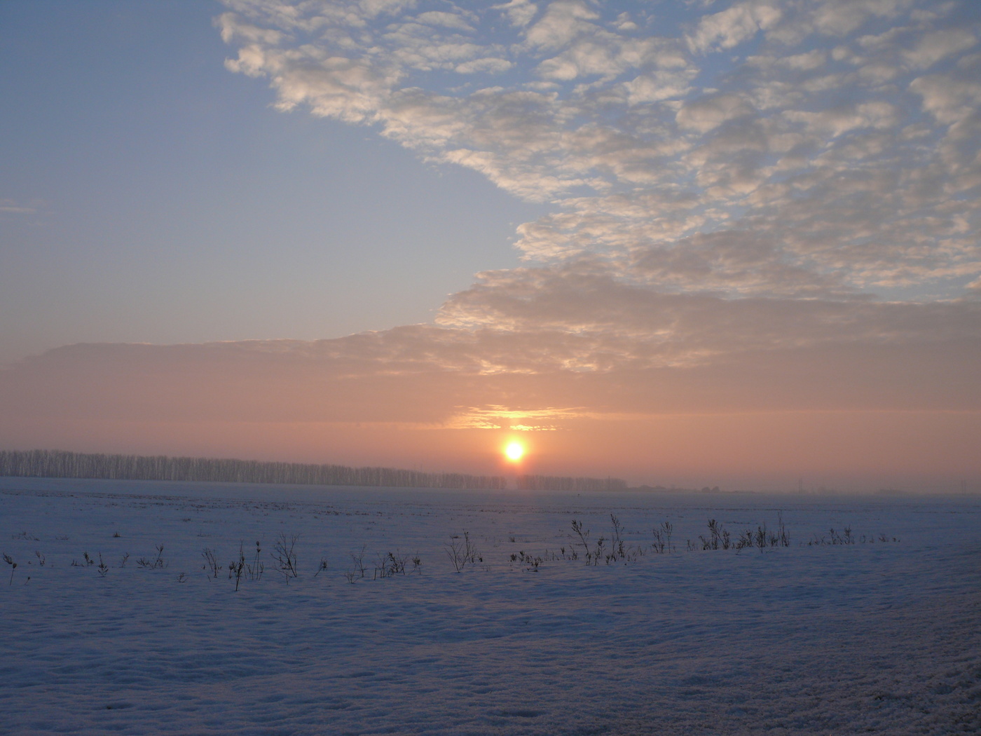 Reim des Morgenlichts