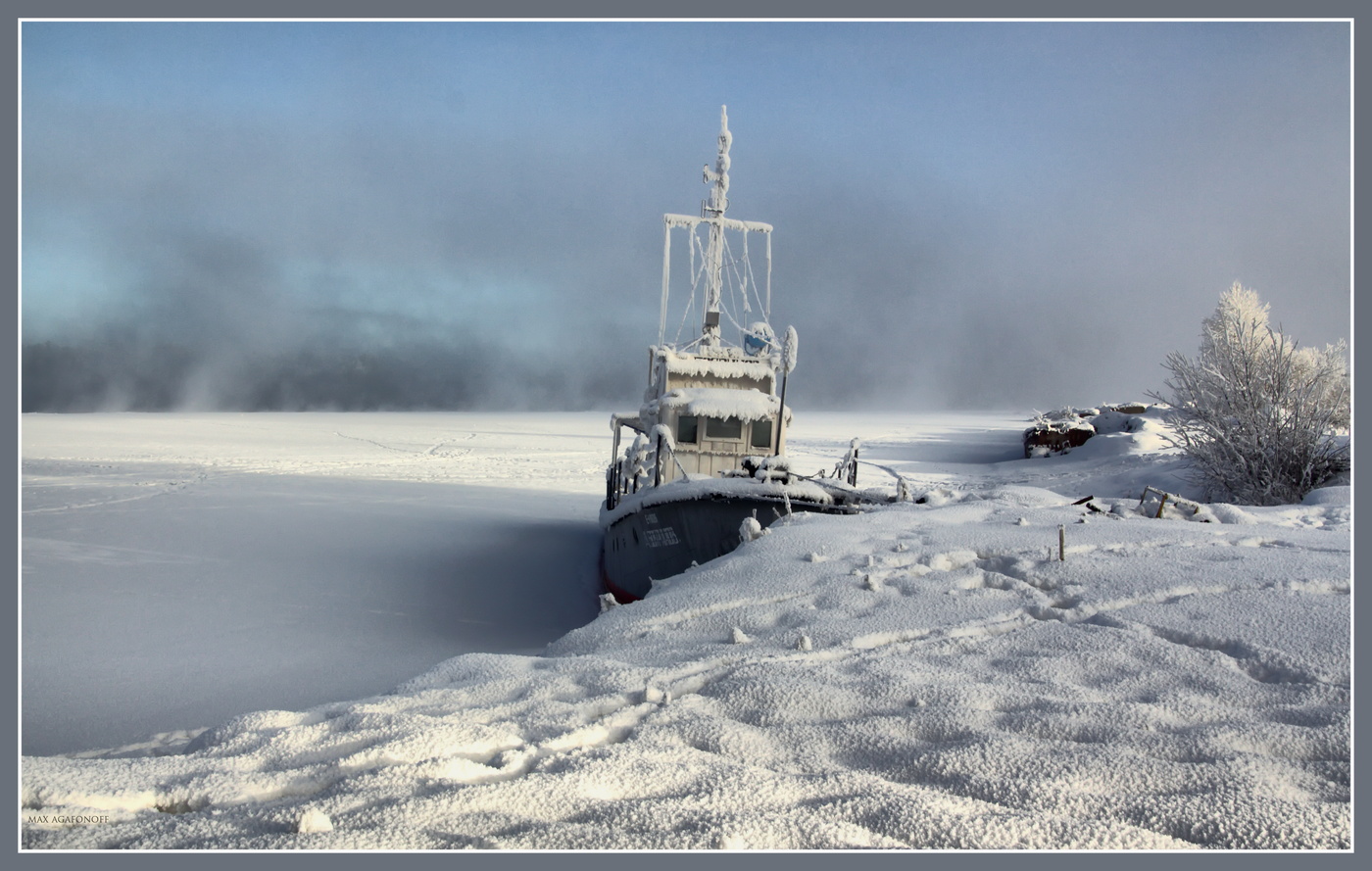 In Erwartung des Frühlings ...