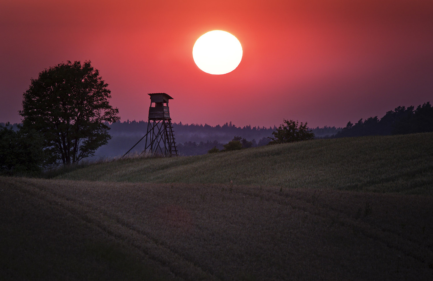 The end of the day...