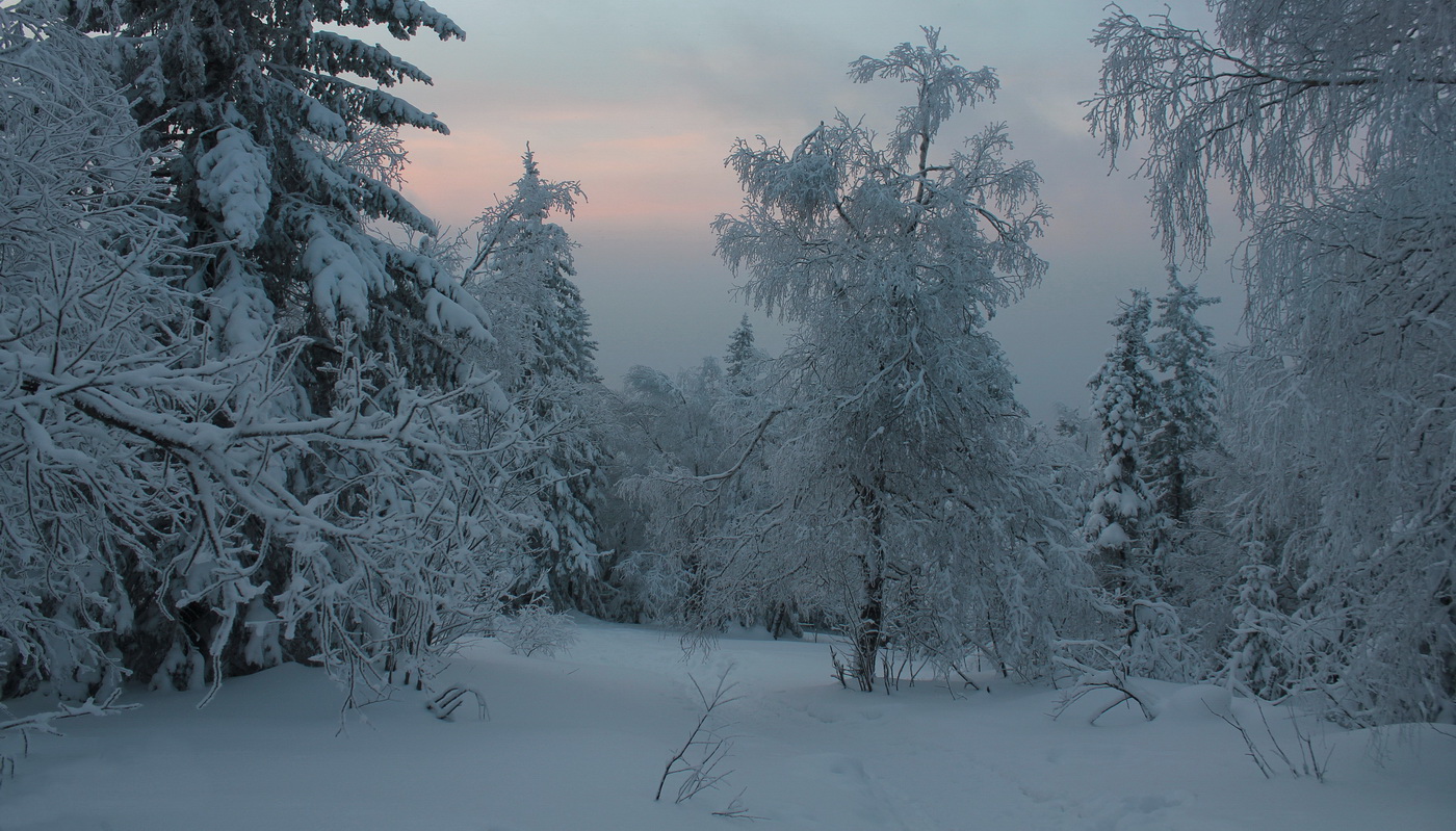 Sonnenuntergang im Winter