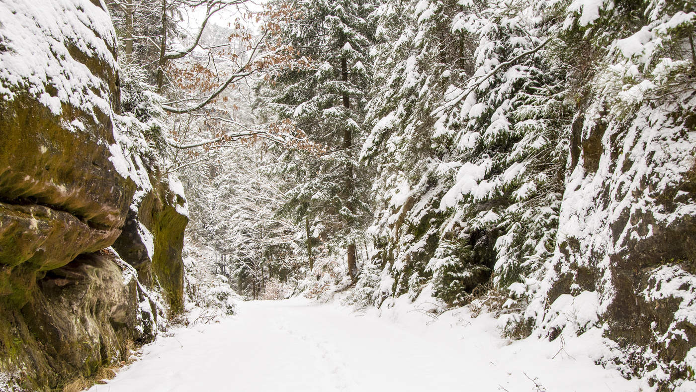 In den Bergen der Sächsischen Schweiz