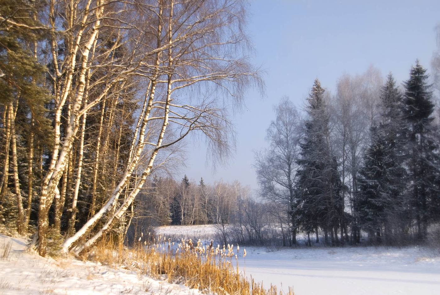 Januar Zärtlichkeit