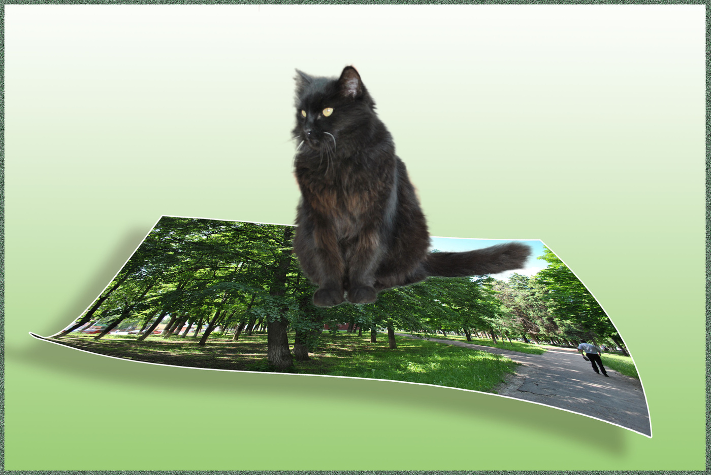 Bedeutungsvolle Halluzinationen