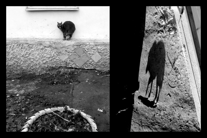 Bedeutungsvolle Halluzinationen