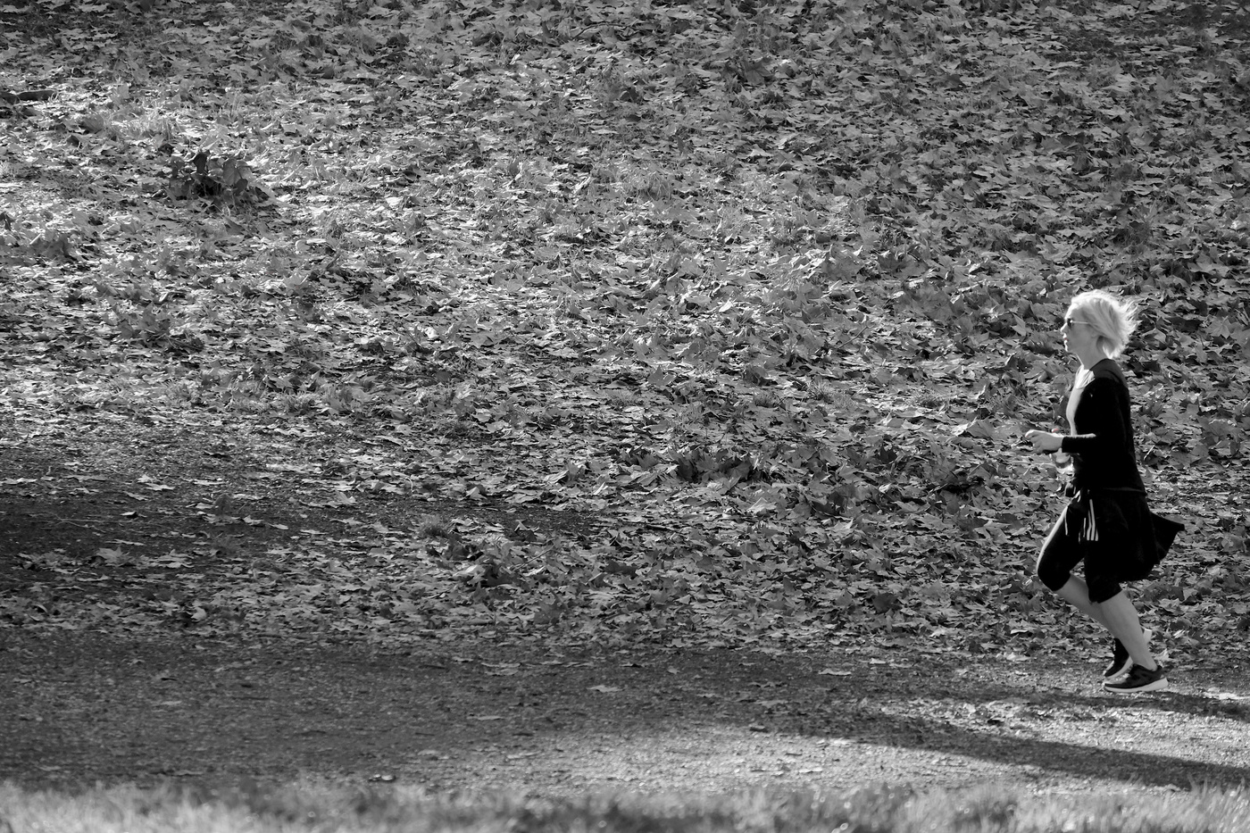 Bedeutungsvolle Halluzinationen