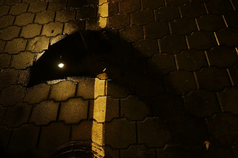 Bedeutungsvolle Halluzinationen