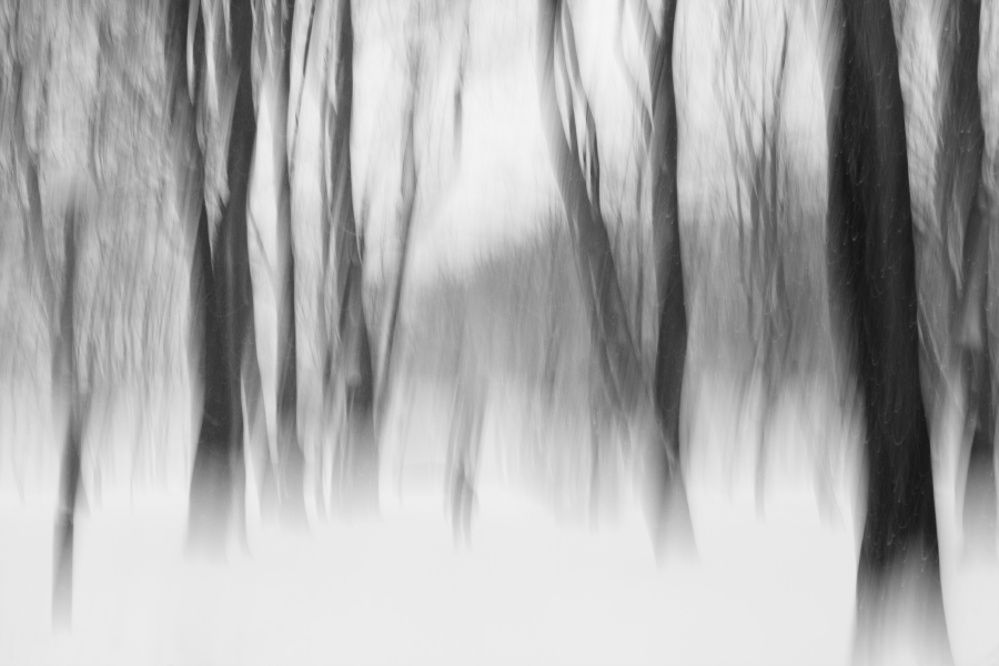 Bedeutungsvolle Halluzinationen