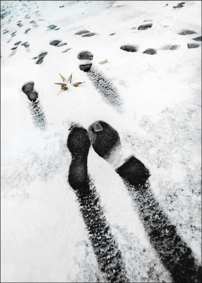 Bedeutungsvolle Halluzinationen