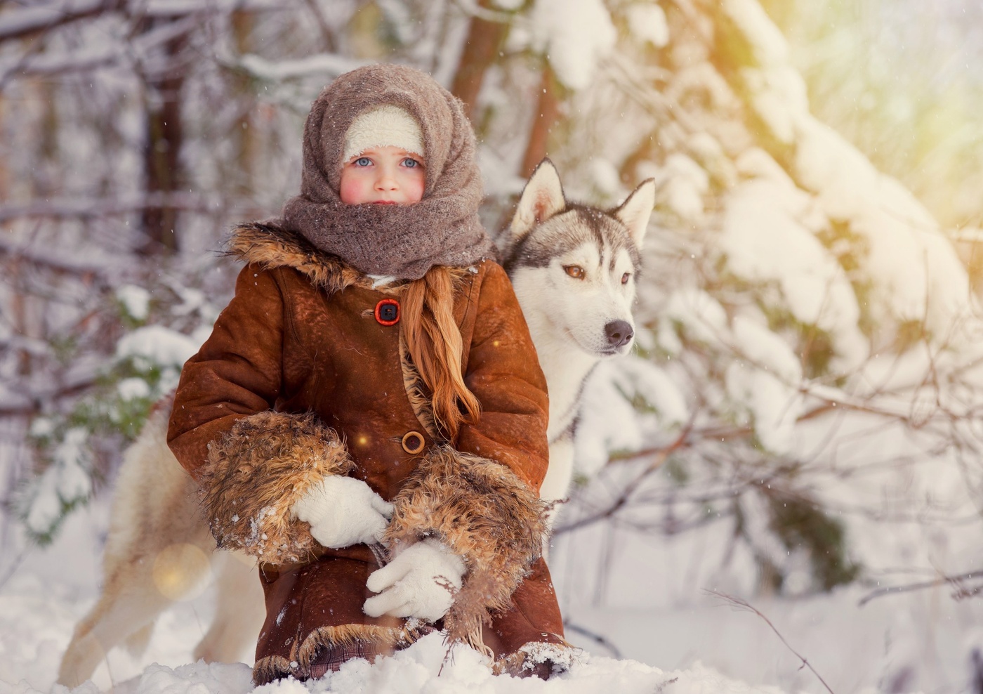 Portrait eines Hundes