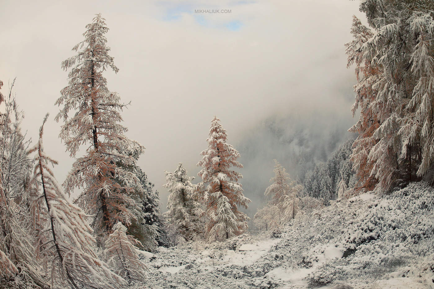 Die Chroniken von Narnia Alpine.