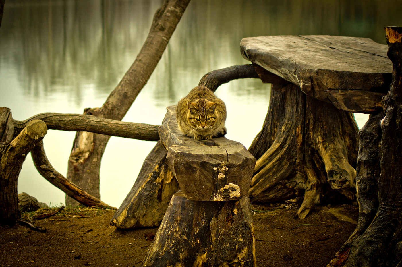 Dort auf unbekannte Wege ...