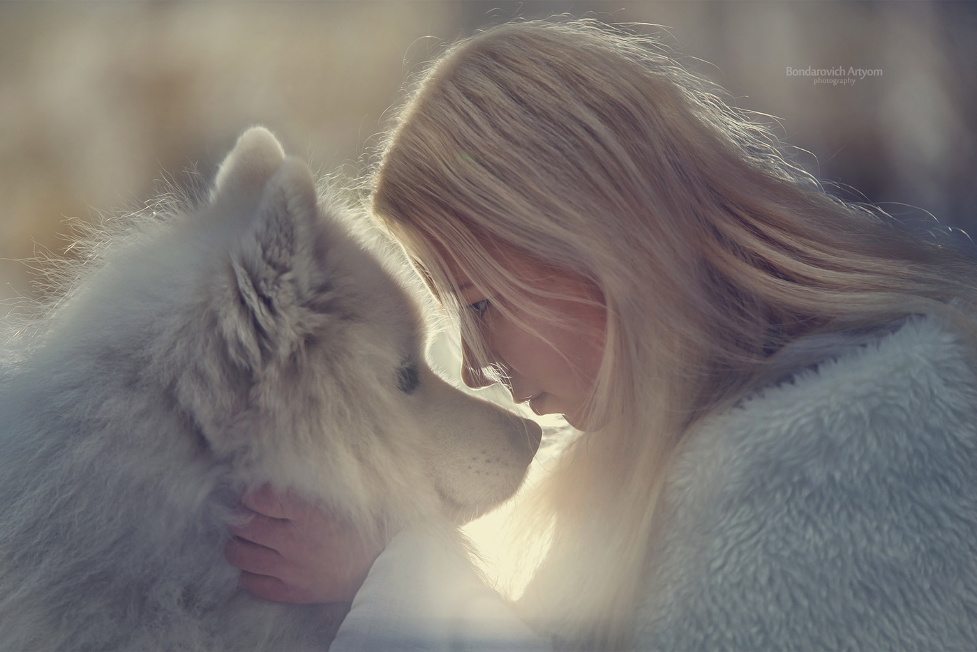 Wir sind das gleiche Blut