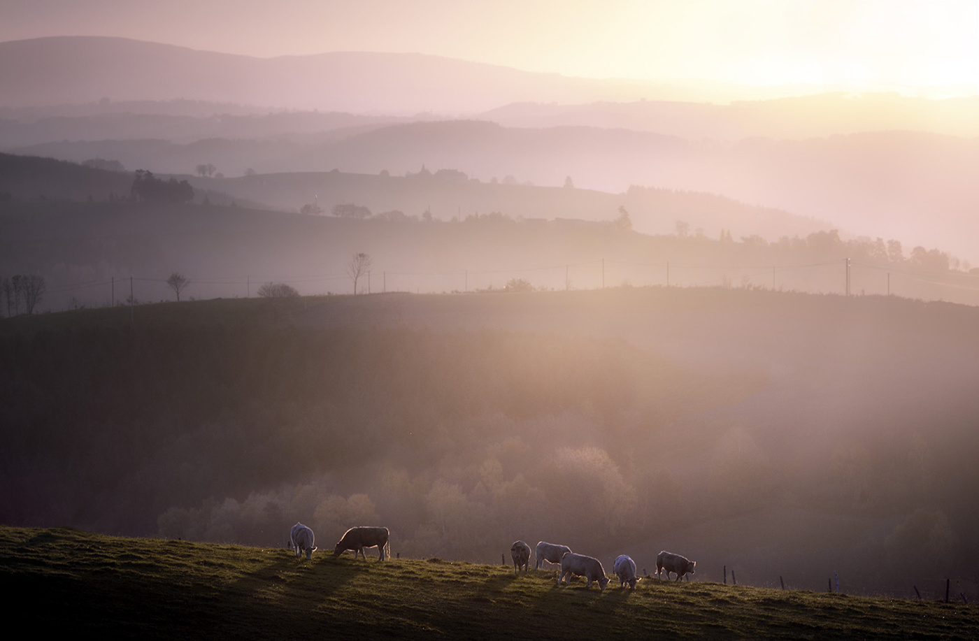 Early on a Sunday morning...