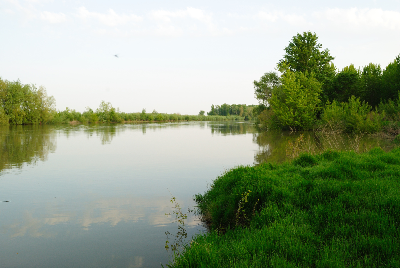 Insula mica a brailei