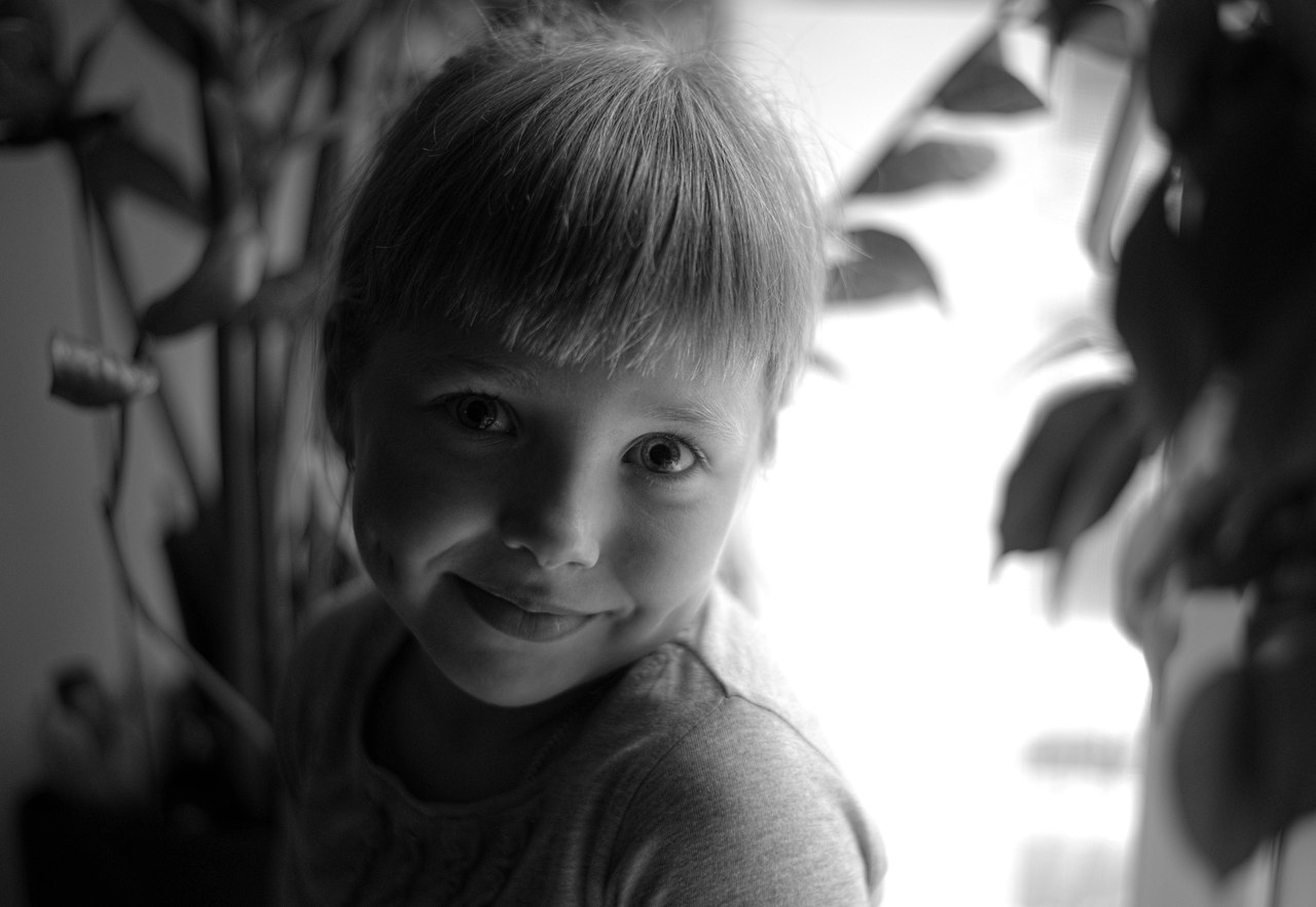 Portrait of a window