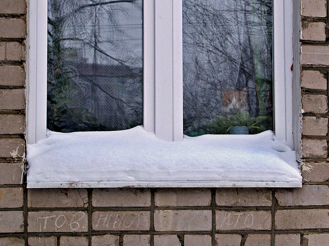 Der Frühling kommt ...