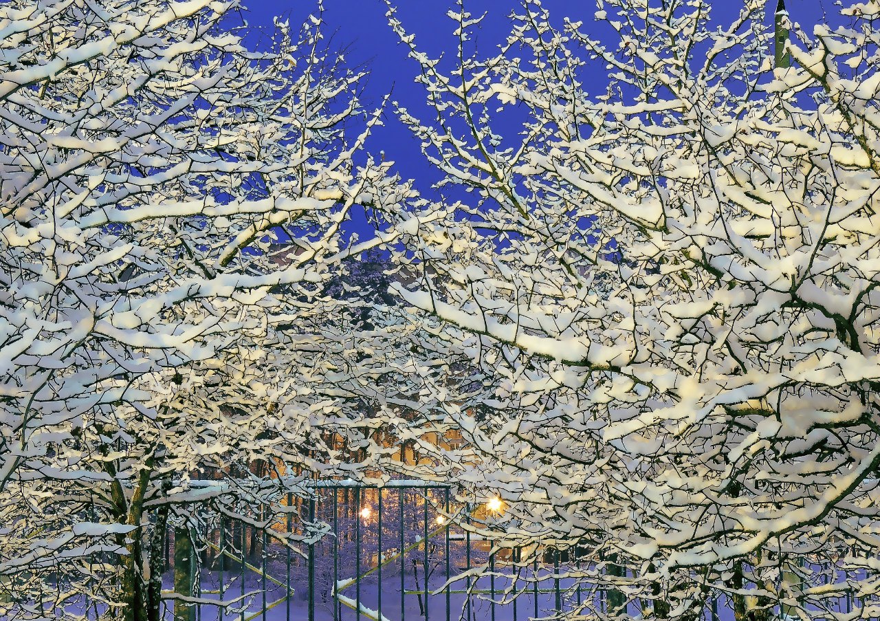 50 Schattierungen von Weiß