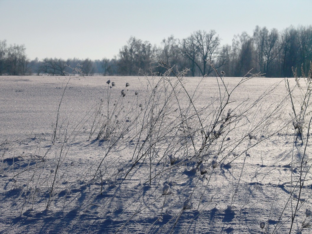 Schatten am Mittag ...