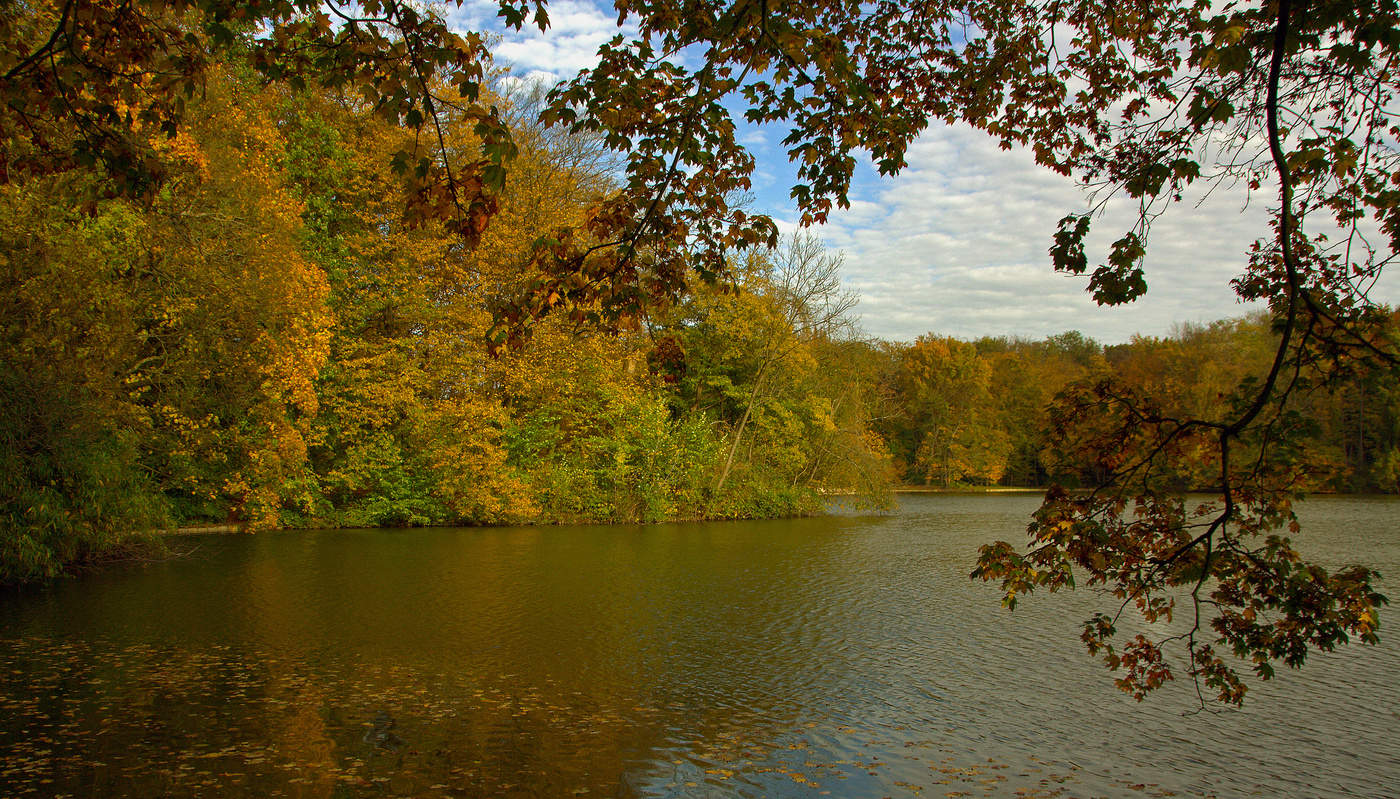 Im Herbst Park