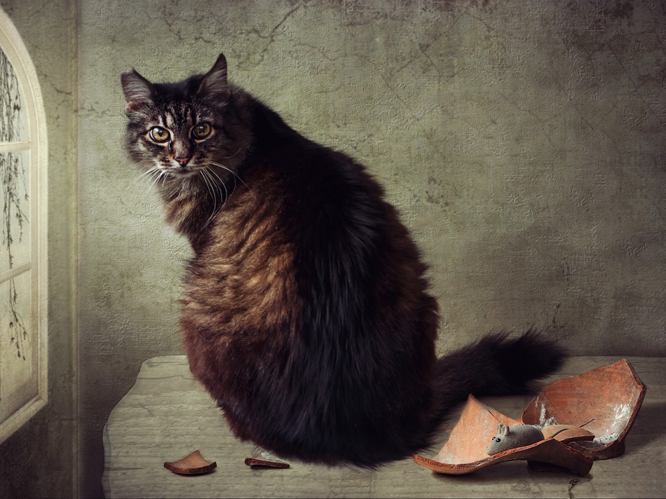 Verbrechen und Strafe