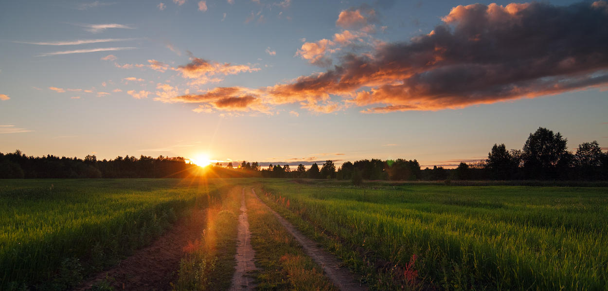 Erinnerungen an den Sommer
