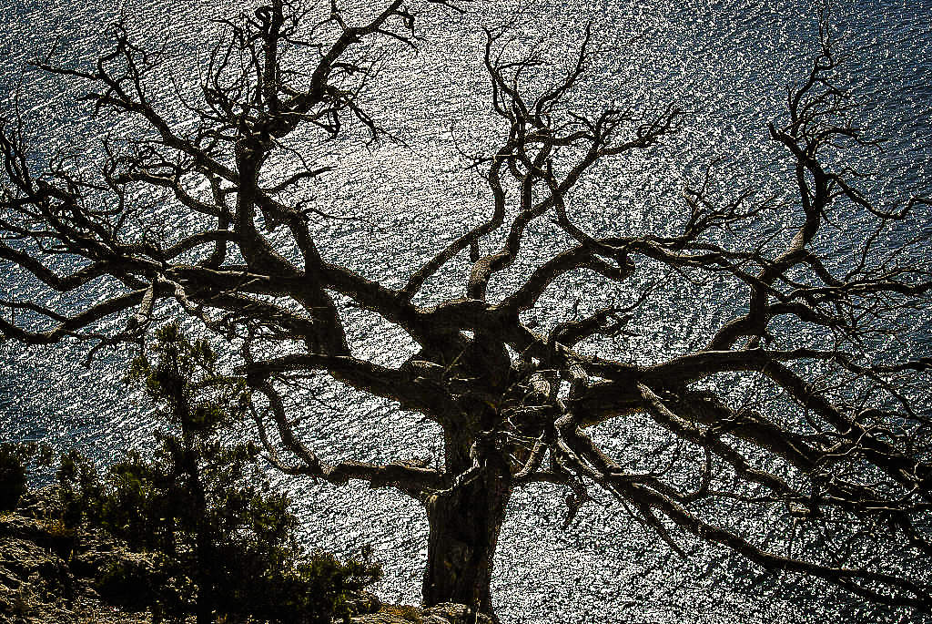 Das Leben in den Abgrund