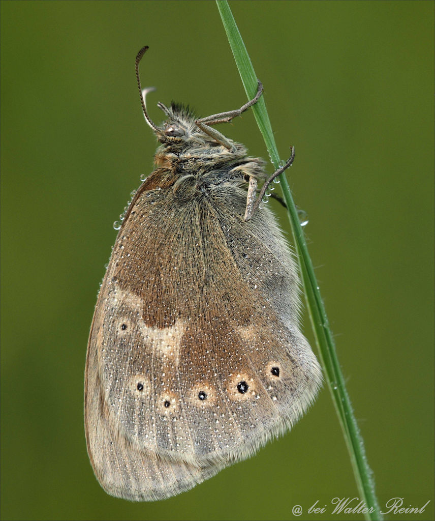 Warten auf die Sonne....