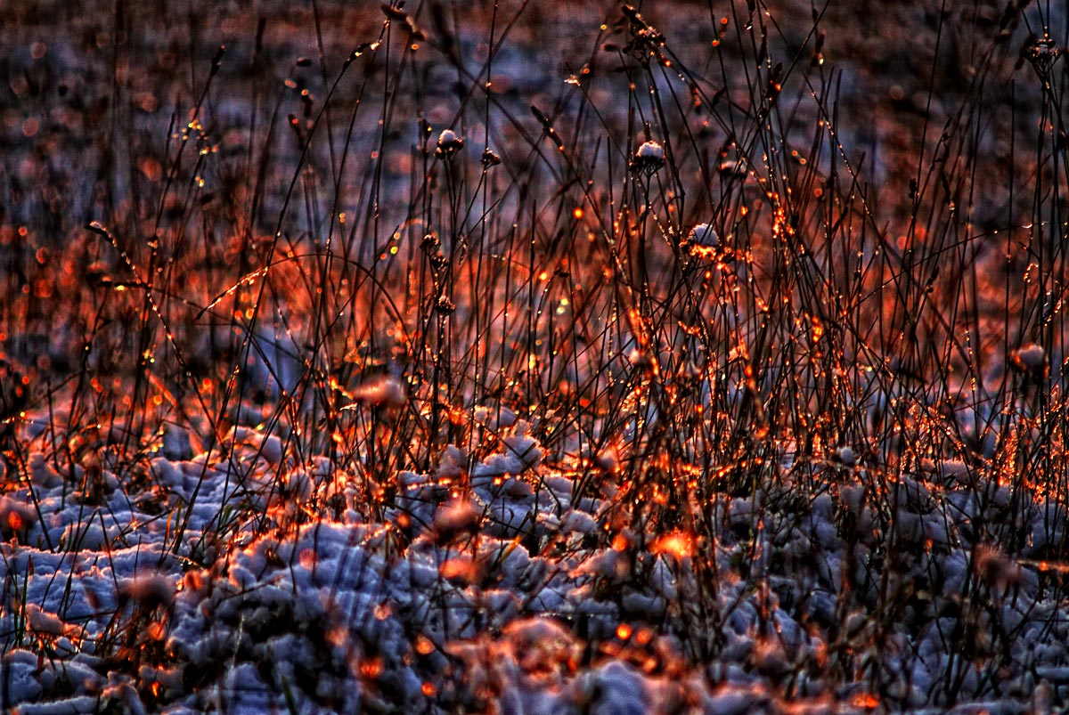 Ein schöner Tag dank Frost und Sonne