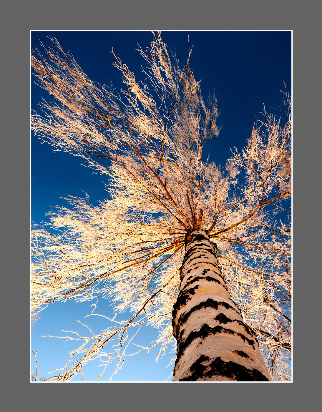 Ein schöner Tag dank Frost und Sonne